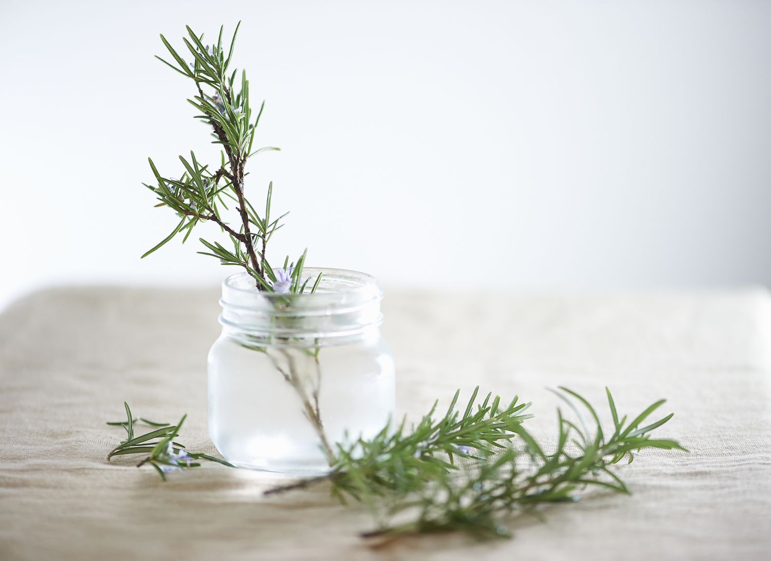 Rosemary Hair Spray: Natural Solution for Stronger & Healthier Hair